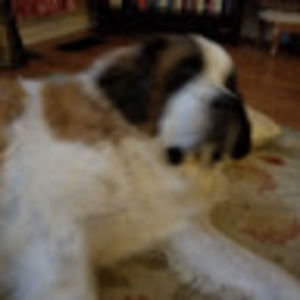 Meet your Posher, Nathan